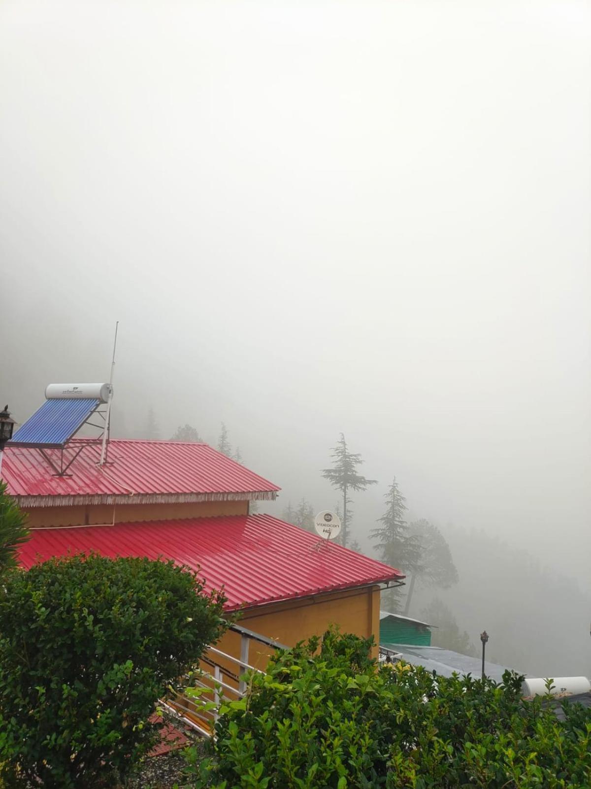 Little Heart Resort Chail Ngoại thất bức ảnh