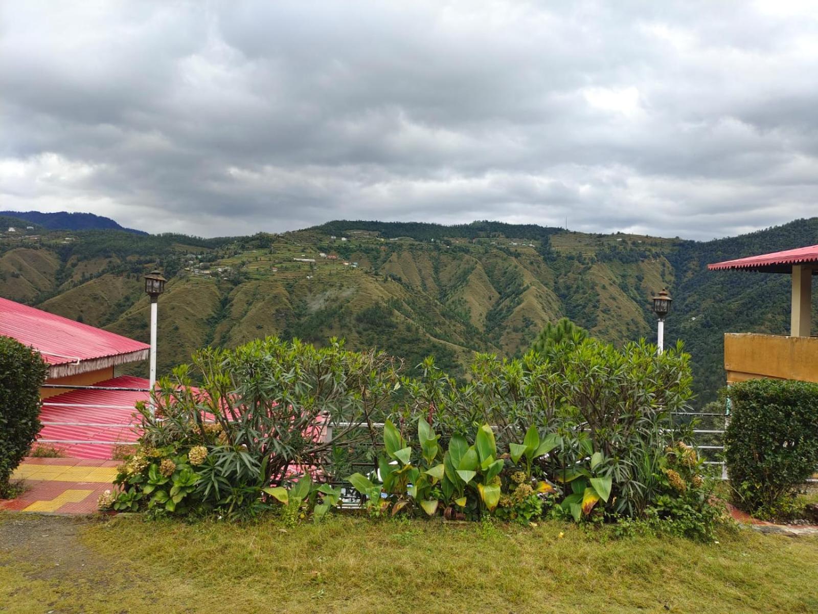 Little Heart Resort Chail Ngoại thất bức ảnh
