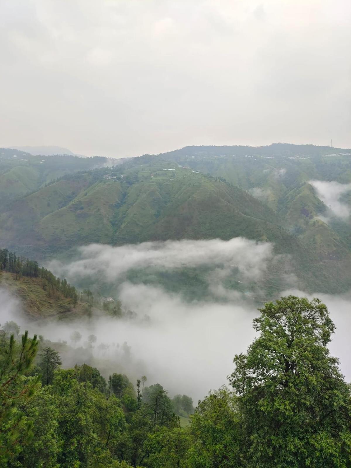 Little Heart Resort Chail Ngoại thất bức ảnh