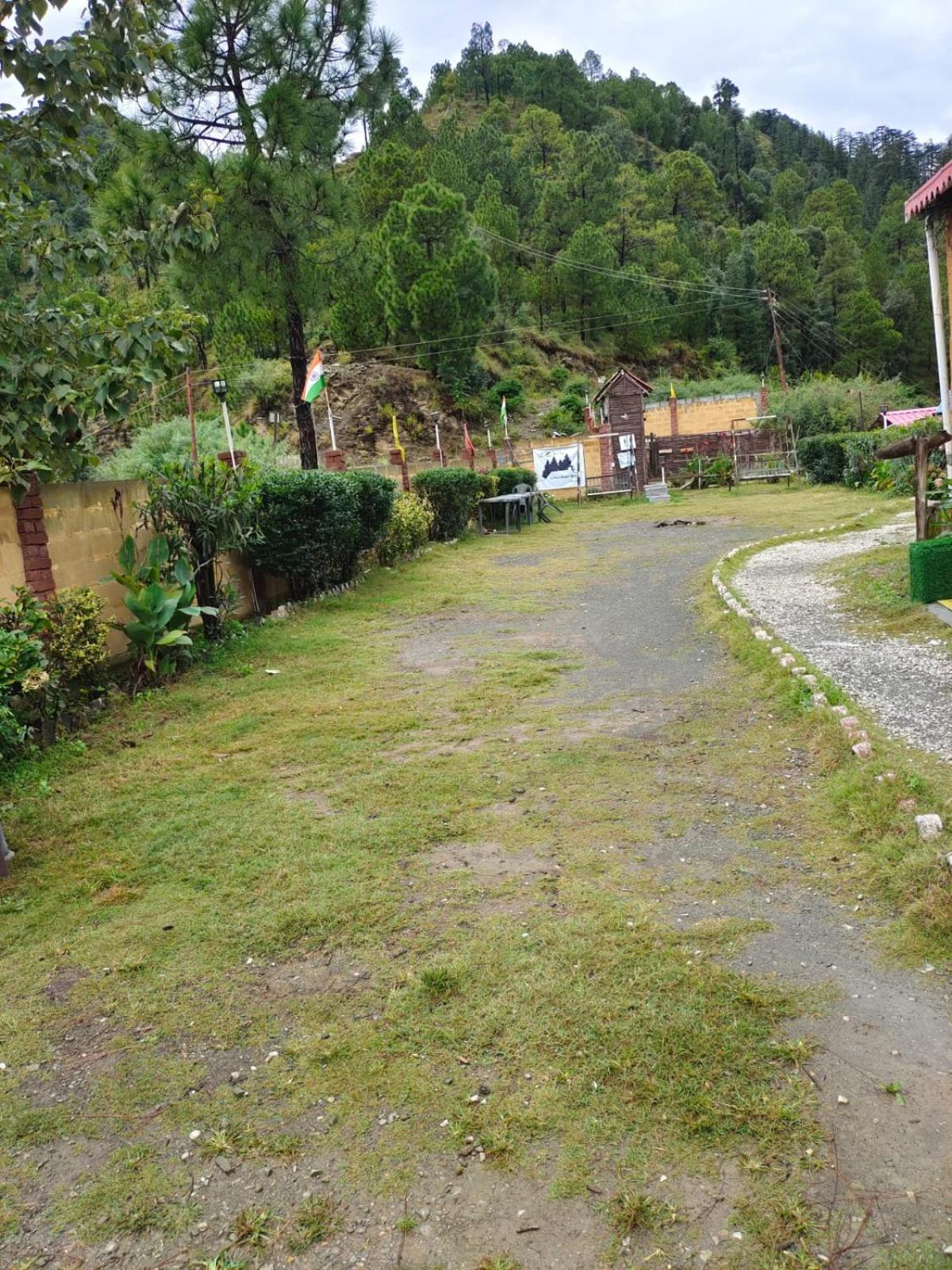 Little Heart Resort Chail Ngoại thất bức ảnh