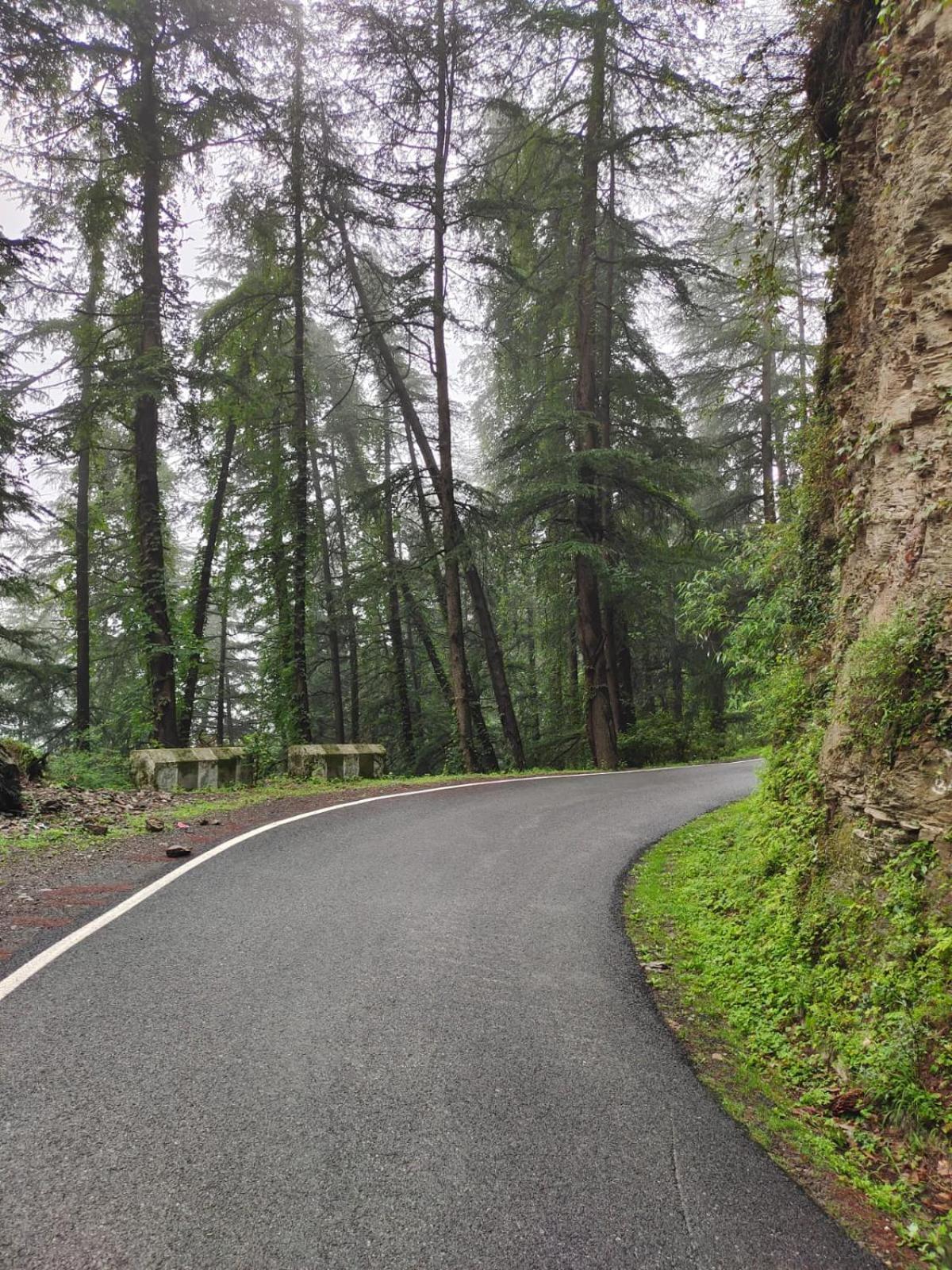 Little Heart Resort Chail Ngoại thất bức ảnh